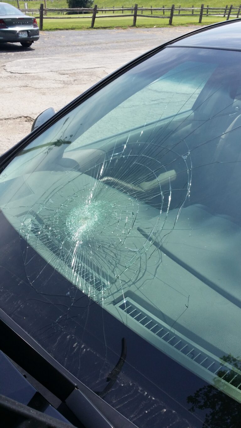 20140815 120813 768x1365