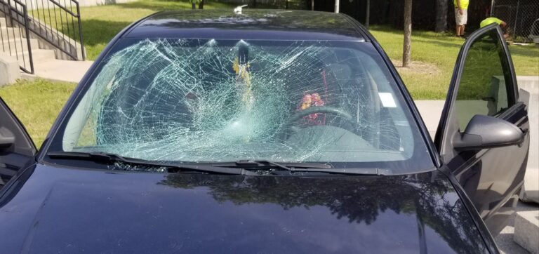 20180814 162538 768x362