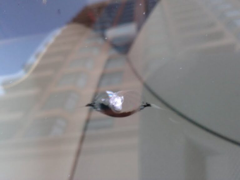 Before repair 10 2011 768x576