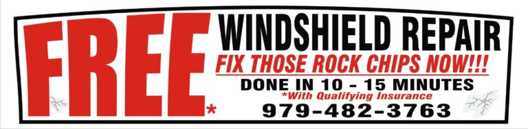 Rock Chip banner2 768x188