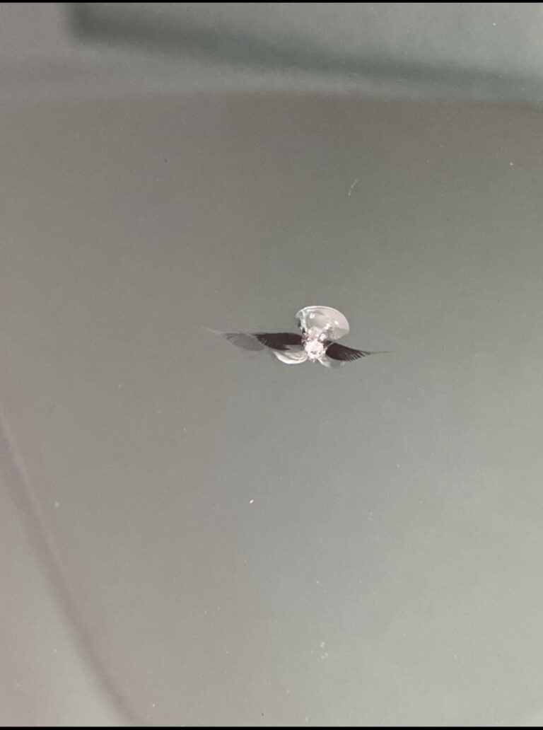 957AF54F 6977 459C 9F84 8F13E1EFD4D4 768x1032