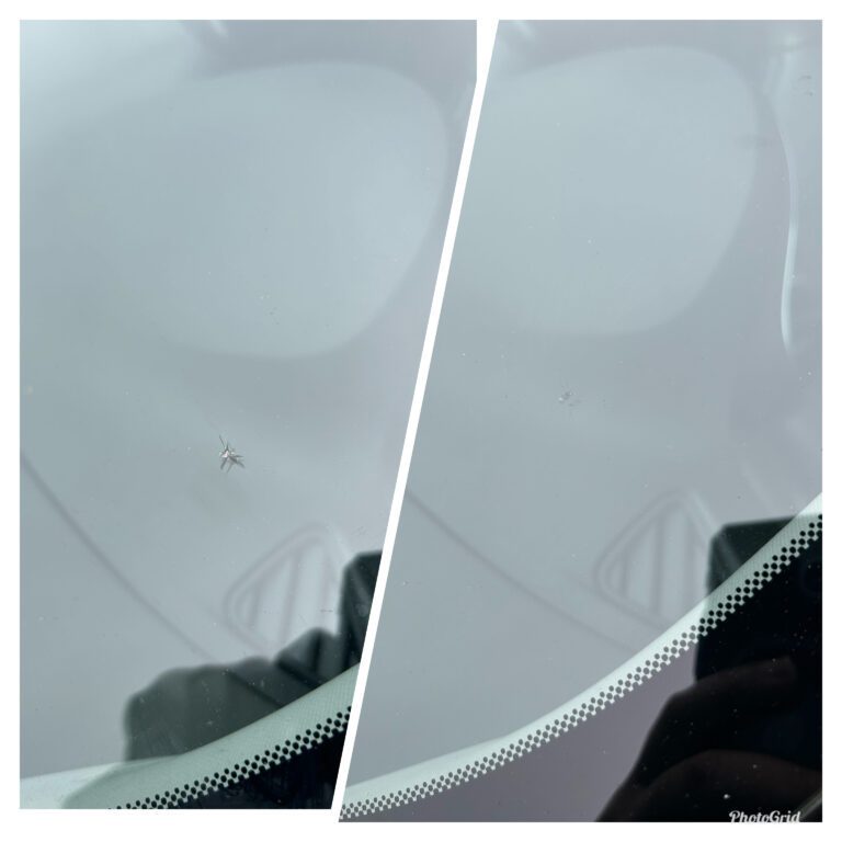 97854F66 A822 4BF2 B611 C6840525BD2A 768x768