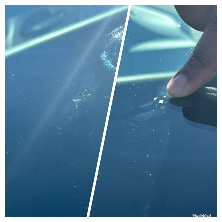 9A5D5BD8 16C2 4542 AD3F 76BB07276D39 768x768