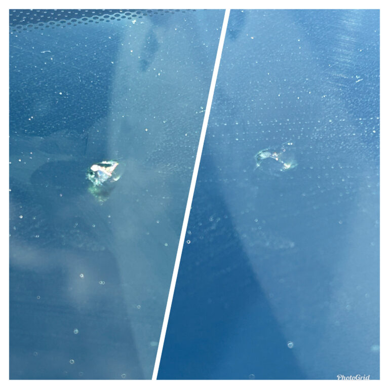 ABD2C795 0695 4BBB A381 D2514CC7DAFE 768x768