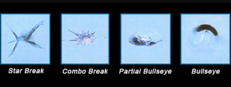 364119980 763988739067829 8737758760464230527 n 768x289