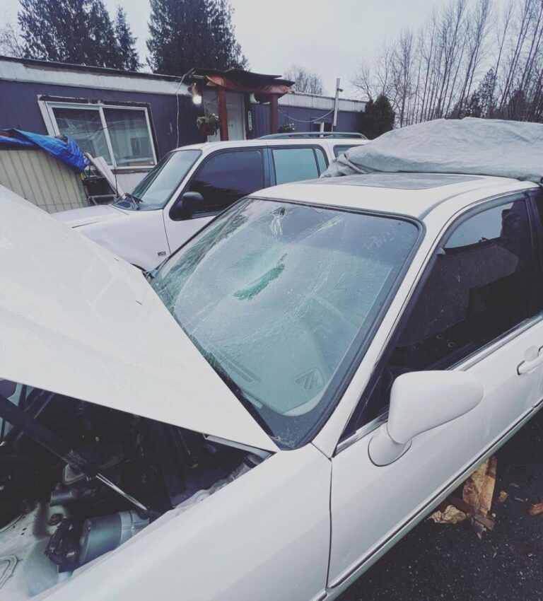 Copy of 21 1 768x850