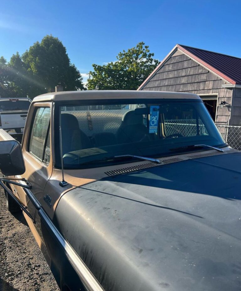 Copy of 31 1 768x930