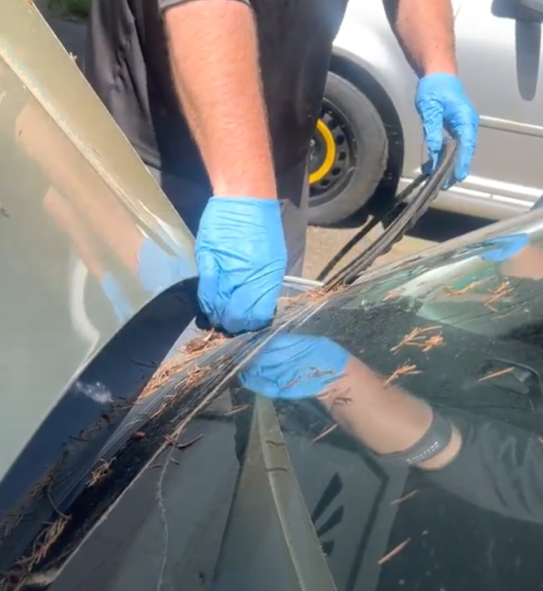 cleaning the cowling 2 768x835