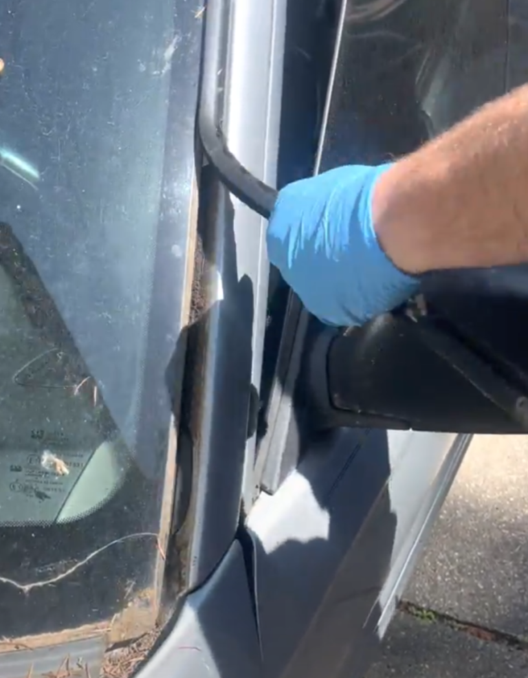 moulding removal 768x986