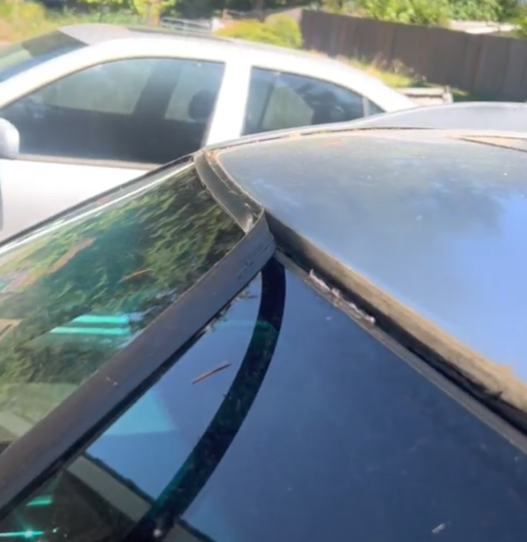 stripped mopulding 1 768x790